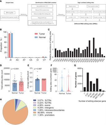 Genome-wide identification of A-to-I RNA editing events provides the functional implications in PDAC